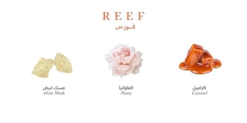 FORCE By REEF PERFUME - Image 4